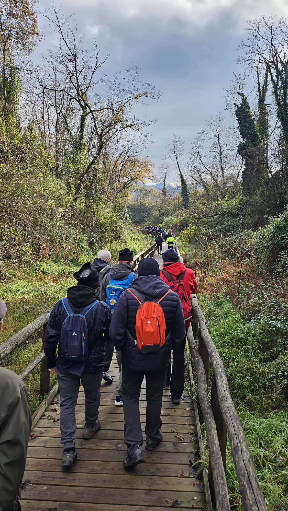 labefana_vesuvio011